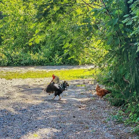 Den Lilla Roeda Stugan By Interhome