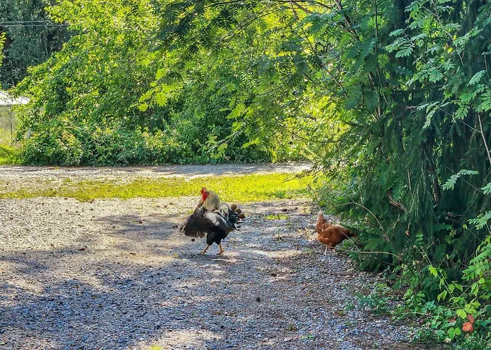 Den Lilla Roeda Stugan By Interhome